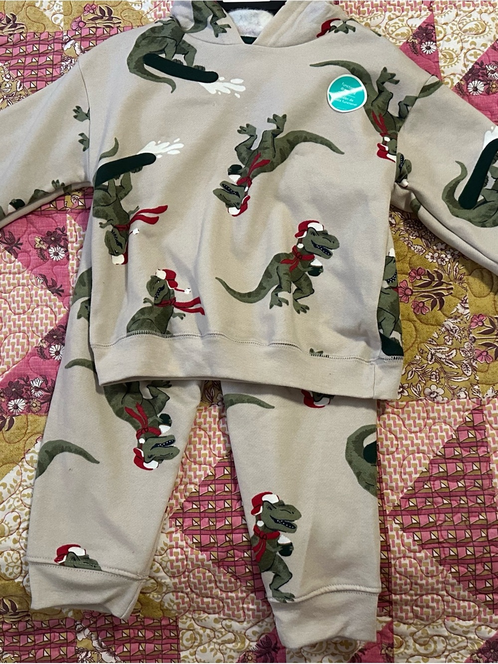 Carter's Beige Hoodie with Green Dinosaur Print